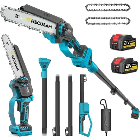 2-in-1 Cordless 8 Inch Pole Saw for Tree Trimming